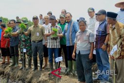 Petani Bangka Barat diminta aktifkan gapoktan