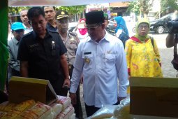 Maluku Utara daerah prioritas pengembangan pala nasional