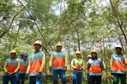 Hutan Reklamasi UBP Bauksit