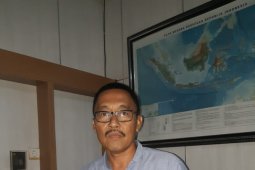 24,8 juta hektare rawa cocok budidaya pertanian