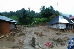 Taman Nasional Baluran Situbondo Diminati  Penggemar Fotografi (Video)