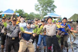 BI bakal bangun klaster pertanian di Jejangkit
