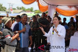 Sewindu SMKN 1 Binuang tanam 80 bibit pohon