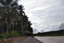 Tebing Sungai Batangtoru di perkuat antisipasi banjir