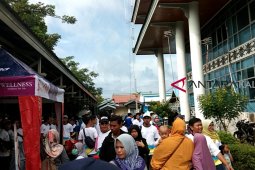 PLN Kalbar gelar jalan sehat peringati Harlisnas