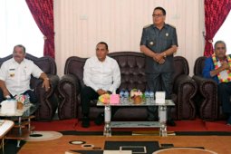 Gubernur : asing tertarik dengan potensi energi Nias