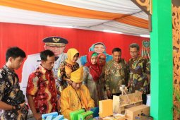 Pkk Binjai Bisa Melahirkan Inovasi Tepat Guna