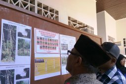 Berbagai jenis satwa dilindungi ada di Hutan Batangtoru