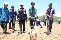 Gerakan percepatan tanaman padi