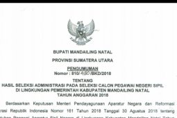 5.684 pelamar CPNS Madina lulus Administrasi