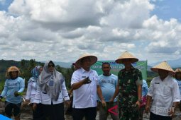 Angkola Julu potensi agrowisata Padangsidimpuan