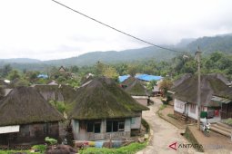 Rumah Ijuk Sibanggor mulai tergerus zaman
