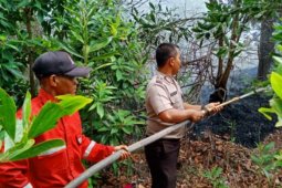 Kebakaran hutan di Simpangteritip karena keteledoran warga