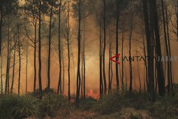 Kawasan Kebun Raya Kuningan terbakar