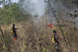 Kebakaran hutan Gunung Ciremai
