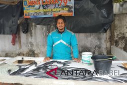 Bangka Selatan pemasok 40 persen ikan Babel