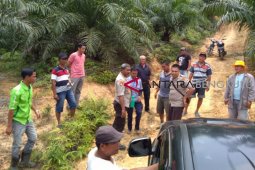 Polisi amankan pelaku penganiaya manajer sawit