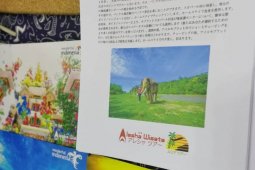 Bengkulu promosikan ekowisata gajah Seblat di Jepang