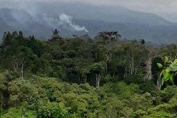 TNKS selidiki dugaan kasus pembalakan dalam kawasan