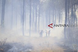 Upaya pemadaman kebakaran hutan