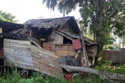 Rumah ambruk tertimpa pohon kelapa satu anak meninggal