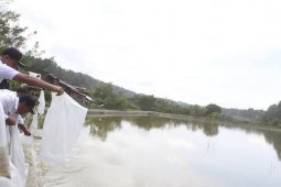 Bupati Samosir tabur ikan di Pea Silengge