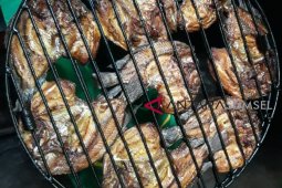 Lezatnya lele - nila asap journey food pakai bumbu rahasia