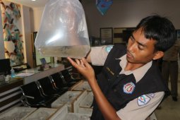 BKIPM dan polisi Jambi gagalkan penyelundupan benih lobster