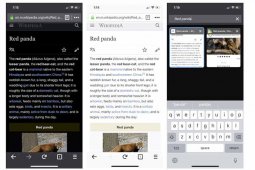 Firefox Baru, Tampilkan Beberapa Tab Di Satu Layar
