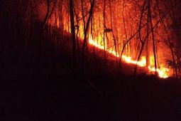 Hutan Gunung Bancak Magetan Terbakar