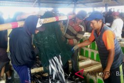 Anjlok, harga ikan nelayan Jembrana