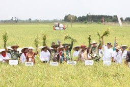 Jejangkit bakal menjadi wisata pendidikan dan penelitian