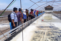 Inovasi Budi Daya Garam Probolinggo Jadi Juara