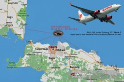Profil Pesawat B737 Max 8 Lion Air yang Jatuh