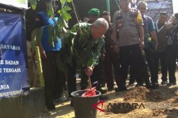 HST encourages tree planting movements to support green revolution