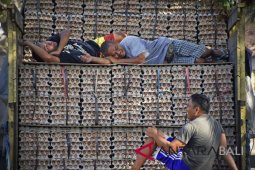 Pasokan telur ayam dari Bali ke NTB