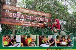 Tokoh lingkungan bangun arboretum mangrove Pulau Curiak