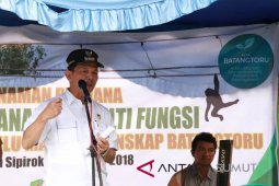 Bupati: Orangutan harus diselamatkan dari kepunahan