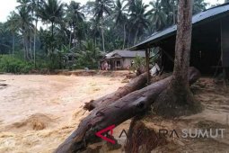 Banjir juga landa Muara Batang Gadis