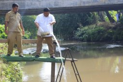 Bupati tabur ribuan benih ikan