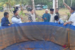 Dorong pontren mandiri melalui budidaya perikanan