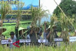 Pangan Sukabumi 70 persen di pasok dari luar daerah