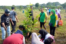 FKS Asahan tanam bibit pohon di CFD