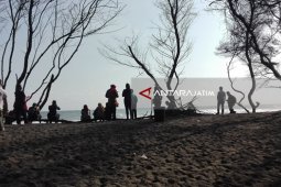 Menikmati Deburan Ombak di Pantai Goa Cemara