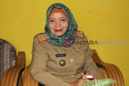 Inspektorat Bengkulu Selatan turunkan tim pemeriksa keuangan desa