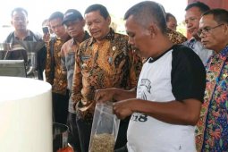 Bupati Samosir tinjau olahan kopi warga