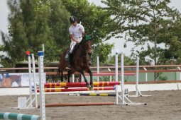 50 Atlet Berkuda Ikuti Kompetisi "Fun Equestrian"