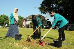 Gerakan tanam pohon