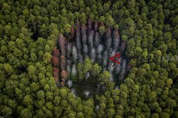 Hutan lindung Jawa Barat