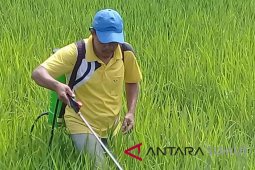 Tapsel tetap jaga stabilitas produksi pertanian